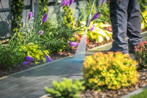 Best Post-Construction Pressure Washing  in Corralitos, CA